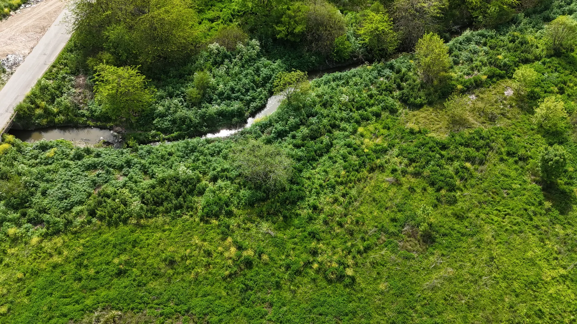 Vista aérea del Arroyo Rodríguez rodeado de vegetación en La Domarca