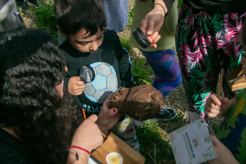 Niños explorando la tierra con lupas en una jornada educativa