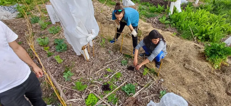 Voluntarios plantando en la huerta agroecológica