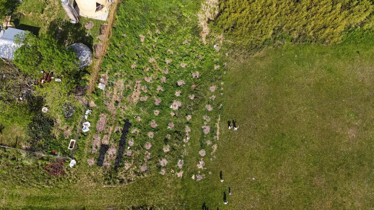 Vista aérea de La Domarca: parcela agroforestal con domo geodésico, invernadero y huerta, rodeada de vegetación